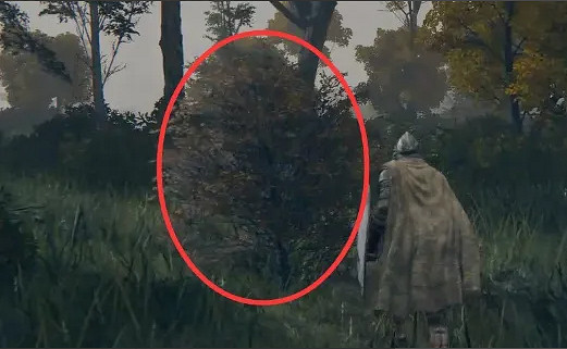 《艾爾登法環》鳥瞰鏡附近的人介紹 《艾爾登法環》鳥瞰鏡附近的人介紹