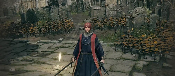 《艾爾登法環》雙持武器方法介紹 《艾爾登法環》雙持武器方法介紹