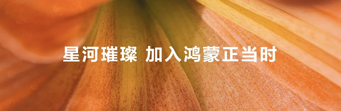 技術賦能構築鴻蒙生態精品遊戲,PGS 2.0全新升級加速原生遊戲商用化進程 技術賦能構築鴻蒙生態精品遊戲,PGS 2.0全新升級加速原生遊戲商用化進程