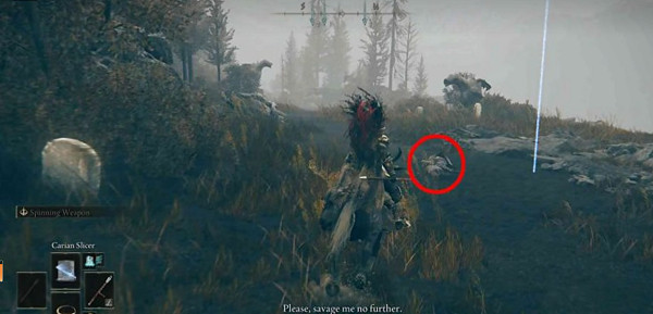 《艾爾登法環》DLC支線攻略 《艾爾登法環》DLC支線攻略