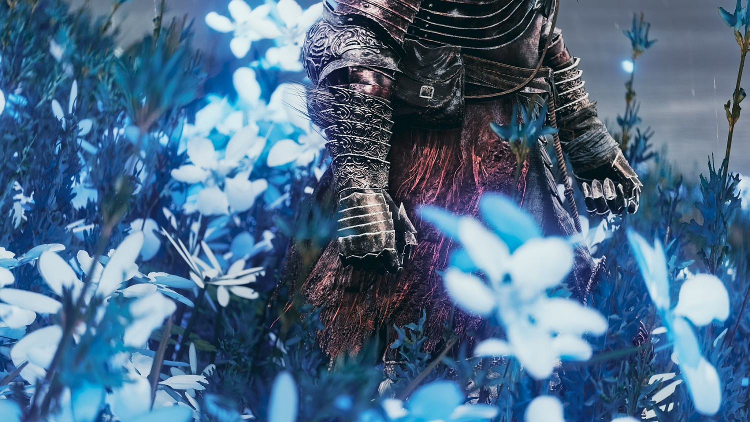 博主曬多張《艾爾登法環》DLC壁紙級截圖：畫面絕美！