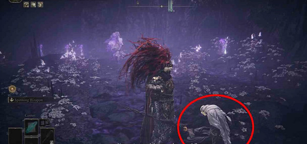 《艾爾登法環》DLC支線攻略 《艾爾登法環》DLC支線攻略