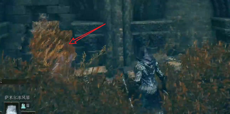 《艾爾登法環》全幽影樹碎片收集