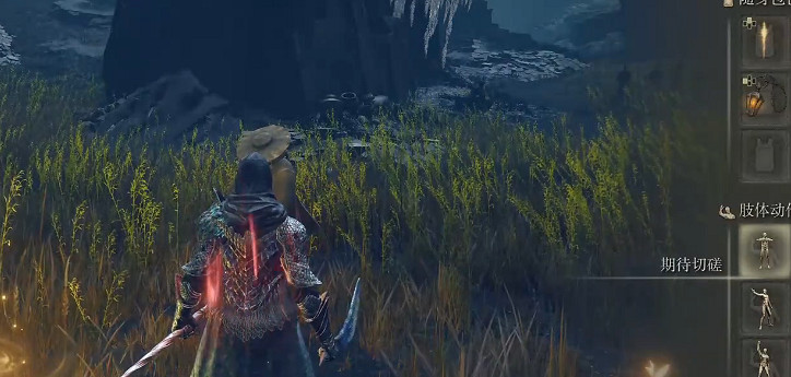 《艾爾登法環》全幽影樹碎片收集