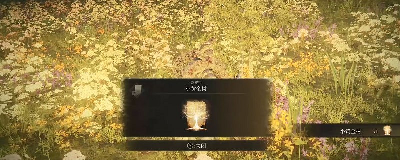 《艾爾登法環》dlc小黃金樹的位置 《艾爾登法環》dlc小黃金樹的位置