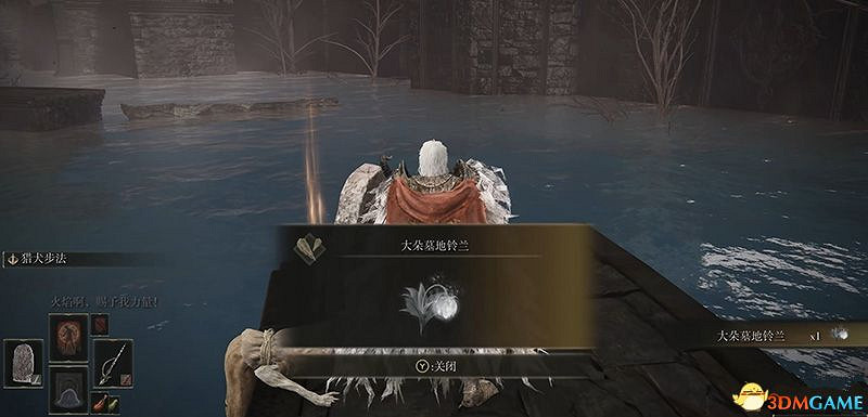 《艾爾登法環》dlc幽影城攻略 物種保藏庫走法+Boss打法+物品收集 《艾爾登法環》dlc幽影城攻略 物種保藏庫走法+Boss打法+物品收集