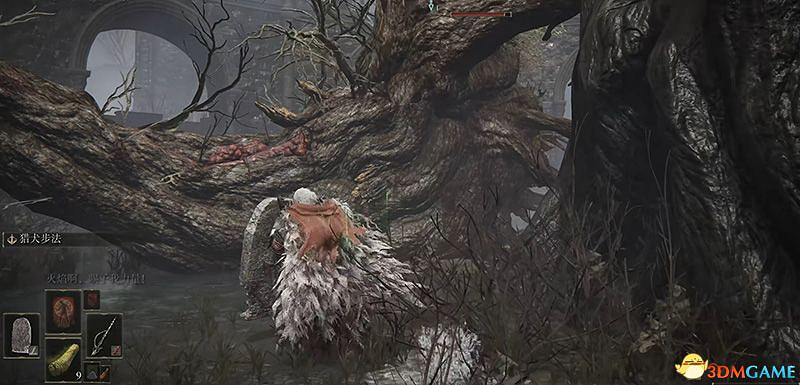 《艾爾登法環》dlc幽影城攻略 物種保藏庫走法+Boss打法+物品收集 《艾爾登法環》dlc幽影城攻略 物種保藏庫走法+Boss打法+物品收集