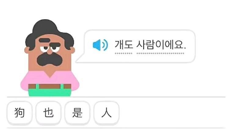 《多鄰國》一個偽裝成遊戲的甲亢貓頭鷹! 《多鄰國》一個偽裝成遊戲的甲亢貓頭鷹!