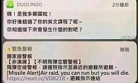 《多鄰國》一個偽裝成遊戲的甲亢貓頭鷹! 《多鄰國》一個偽裝成遊戲的甲亢貓頭鷹!