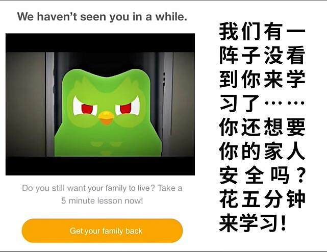 《多鄰國》一個偽裝成遊戲的甲亢貓頭鷹! 《多鄰國》一個偽裝成遊戲的甲亢貓頭鷹!