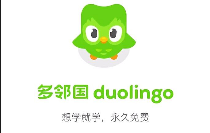 《多鄰國》一個偽裝成遊戲的甲亢貓頭鷹! 《多鄰國》一個偽裝成遊戲的甲亢貓頭鷹!