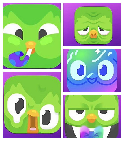 《多鄰國》一個偽裝成遊戲的甲亢貓頭鷹! 《多鄰國》一個偽裝成遊戲的甲亢貓頭鷹!