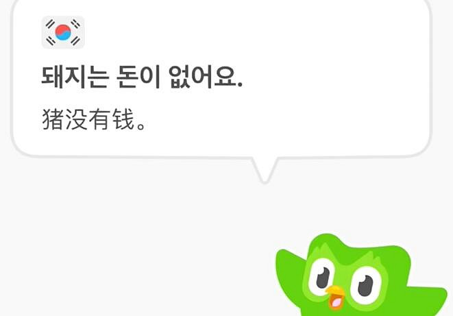 《多鄰國》一個偽裝成遊戲的甲亢貓頭鷹! 《多鄰國》一個偽裝成遊戲的甲亢貓頭鷹!