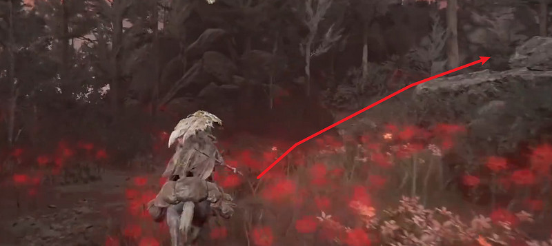 《艾爾登法環》黃金樹幽影賜福點全圖攻略 《艾爾登法環》黃金樹幽影賜福點全圖攻略