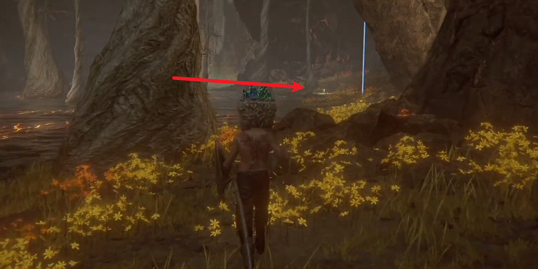 《艾爾登法環》黃金樹幽影賜福點全圖攻略 《艾爾登法環》黃金樹幽影賜福點全圖攻略