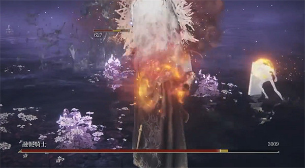 《艾爾登法環》dlc融泥騎士逃課打法