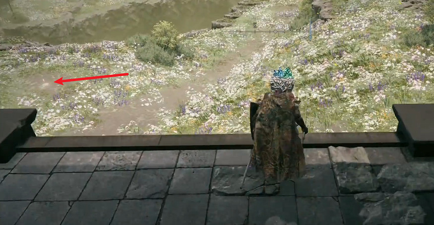 《艾爾登法環》黃金樹幽影賜福點全圖攻略 《艾爾登法環》黃金樹幽影賜福點全圖攻略