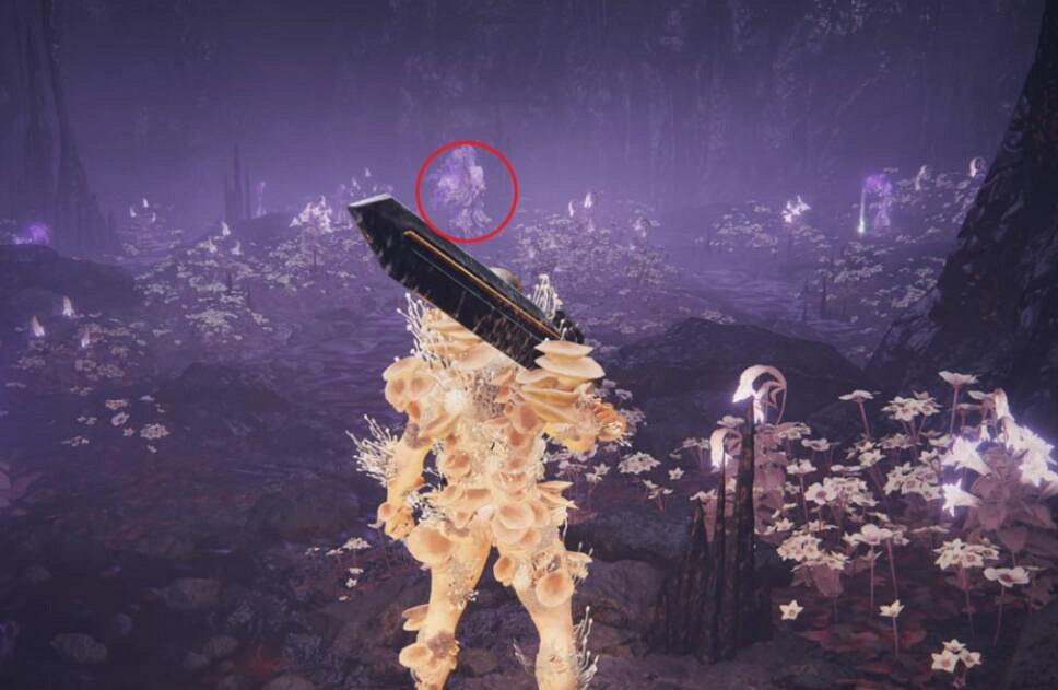 《艾爾登法環》dlc托莉娜的微笑護符獲得方法