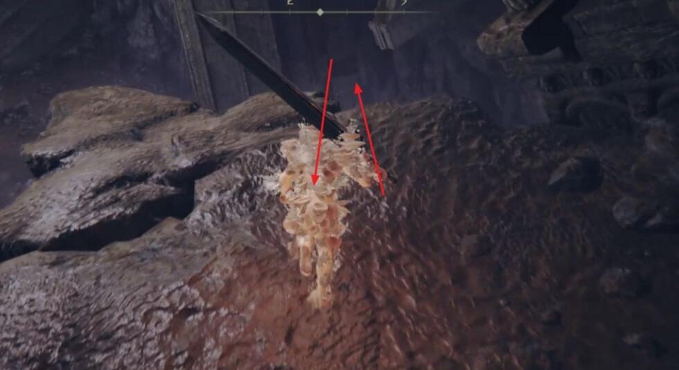 《艾爾登法環》dlc托莉娜的微笑護符獲得方法