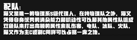 《絕區零》貓宮又奈配隊推薦陣容方案一覽 《絕區零》貓宮又奈配隊推薦陣容方案一覽