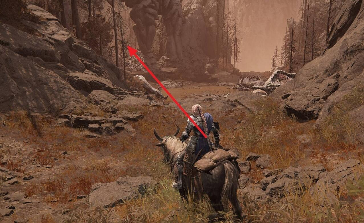 《艾爾登法環》dlc岩石心臟獲取方法 《艾爾登法環》dlc岩石心臟獲取方法