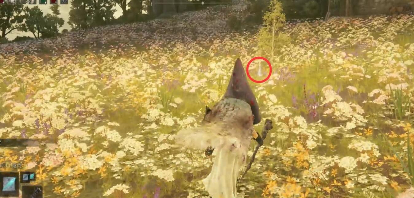 《艾爾登法環》dlc巫者村收集攻略 《艾爾登法環》dlc巫者村收集攻略