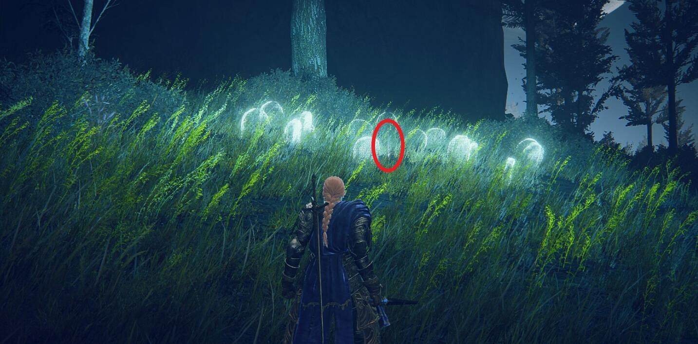 《艾爾登法環》幽影城淚滴幼體位置 《艾爾登法環》幽影城淚滴幼體位置