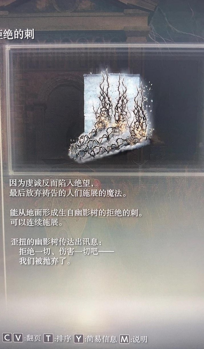 《艾爾登法環》dlc荊棘法師流配裝分享 《艾爾登法環》dlc荊棘法師流配裝分享