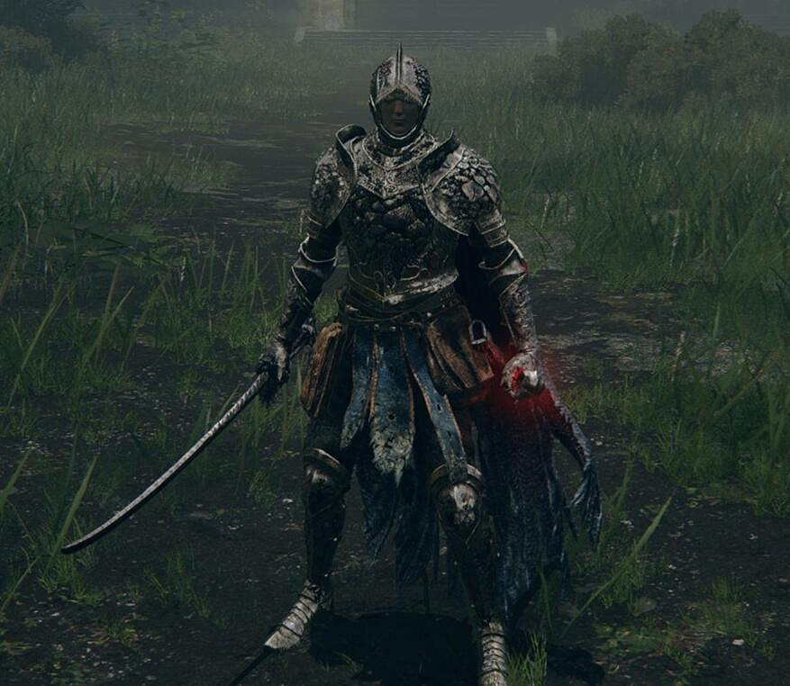 《艾爾登法環》鱗片套裝獲得方法介紹 《艾爾登法環》鱗片套裝獲得方法介紹