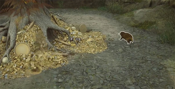 《霍格華茲的傳承》嗅嗅抓捕方式 《霍格華茲的傳承》嗅嗅抓捕方式