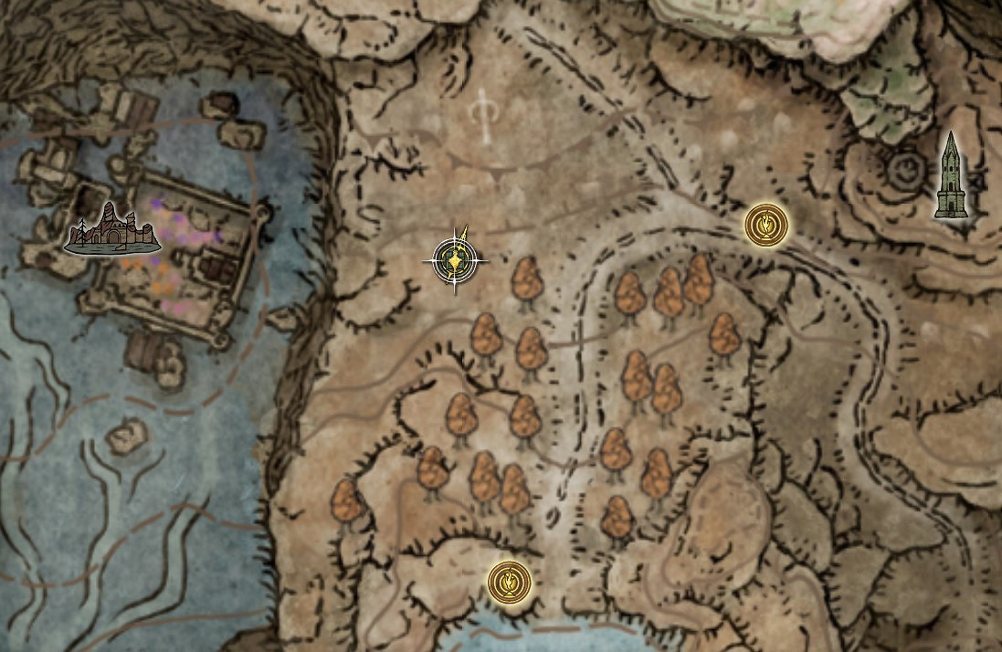 《艾爾登法環》dlc淚滴幼體位置分享 《艾爾登法環》dlc淚滴幼體位置分享