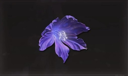 《艾爾登法環》dlc托莉娜孤花獲得方法 《艾爾登法環》dlc托莉娜孤花獲得方法