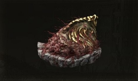 《艾爾登法環》勇猛獅子斬搭配武器推薦 《艾爾登法環》勇猛獅子斬搭配武器推薦