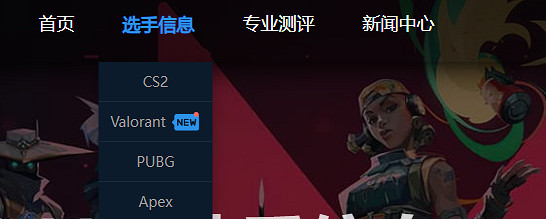 《特戰英豪》職業選手查詢網站介紹