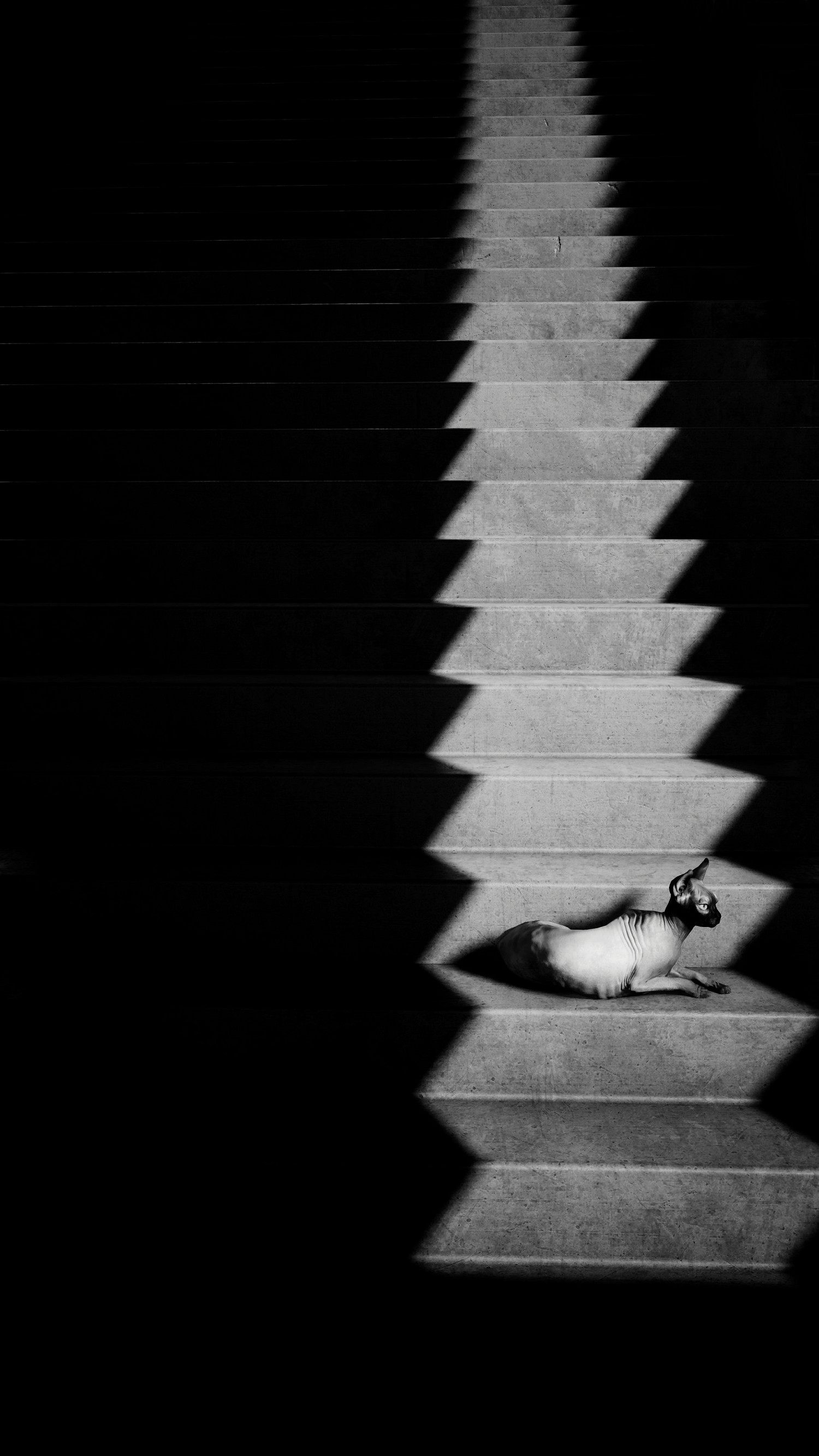 5千張精選4張!博主曬《電馭叛客2077》神級攝影美圖 5千張精選4張!博主曬《電馭叛客2077》神級攝影美圖