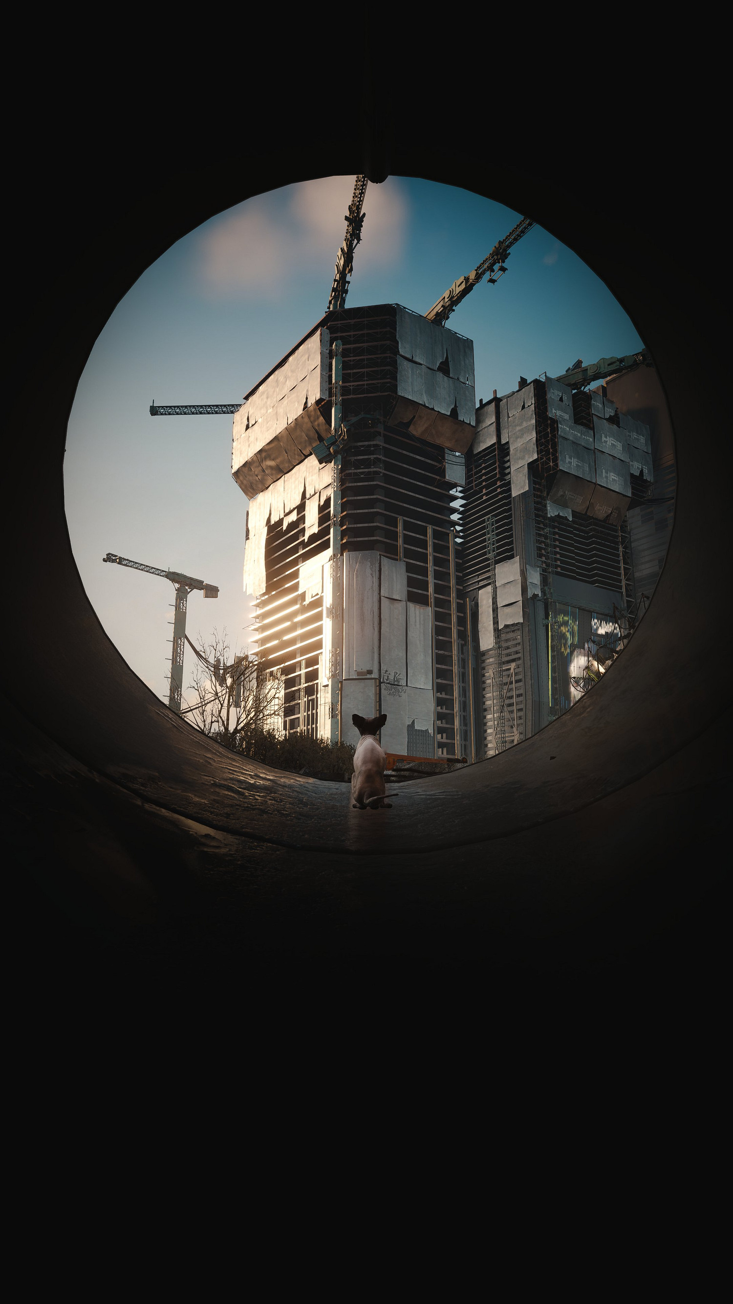 5千張精選4張!博主曬《電馭叛客2077》神級攝影美圖 5千張精選4張!博主曬《電馭叛客2077》神級攝影美圖