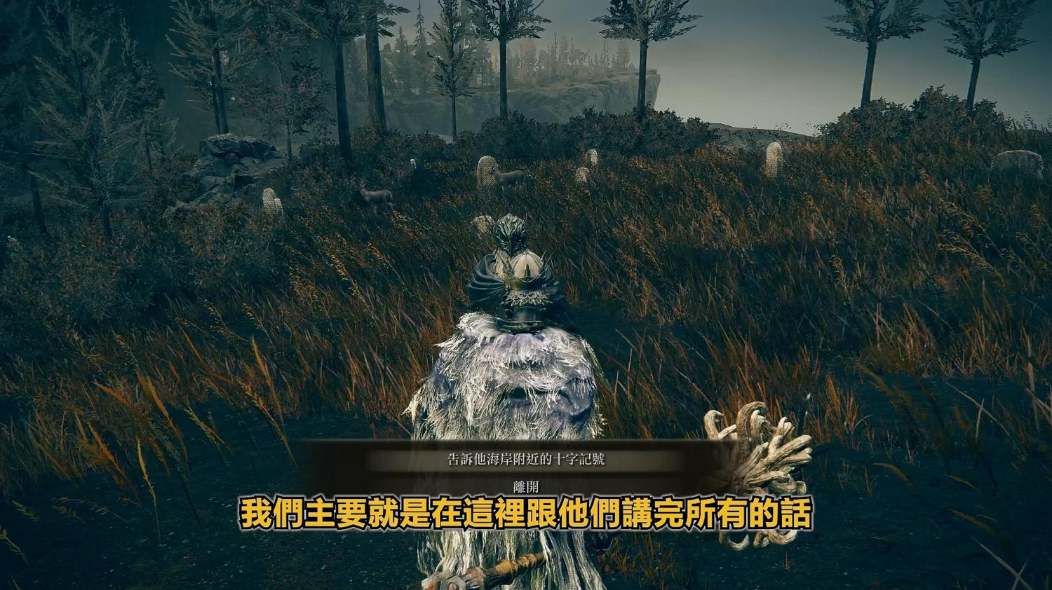 《艾爾登法環》dlc托莉娜與休裡耶支線流程詳解