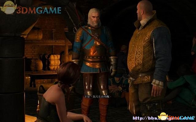 《巫師3：狂獵》次世代攻略百科 全任務全結局全收集全DLC攻略