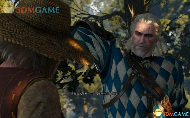 《巫師3:狂獵》全支線任務攻略 全隱藏支線任務全dlc支線攻略 《巫師3:狂獵》全支線任務攻略 全隱藏支線任務全dlc支線攻略