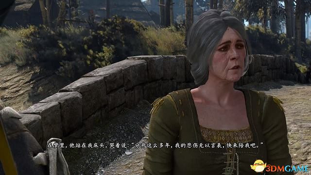 《巫師3:狂獵》威倫支線任務一覽 威倫無人之地支線任務攻略 《巫師3:狂獵》威倫支線任務一覽 威倫無人之地支線任務攻略