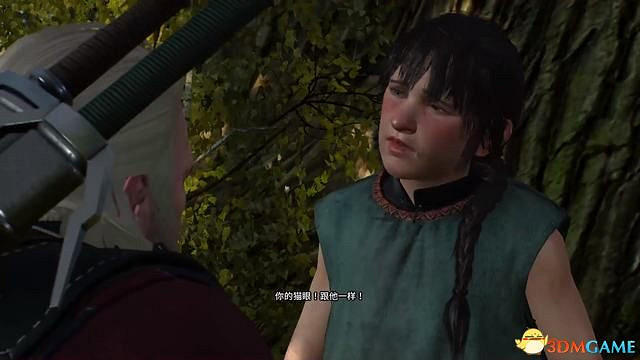 《巫師3:狂獵》威倫支線任務一覽 威倫無人之地支線任務攻略 《巫師3:狂獵》威倫支線任務一覽 威倫無人之地支線任務攻略
