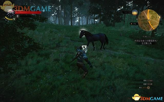 《巫師3:狂獵》全支線任務攻略 全隱藏支線任務全dlc支線攻略 《巫師3:狂獵》全支線任務攻略 全隱藏支線任務全dlc支線攻略