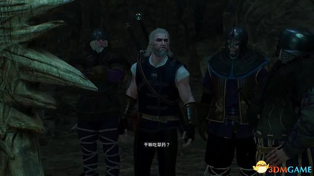 《巫師3:狂獵》史凱利格支線任務一覽 史凱利傑支線任務攻略 《巫師3:狂獵》史凱利格支線任務一覽 史凱利傑支線任務攻略
