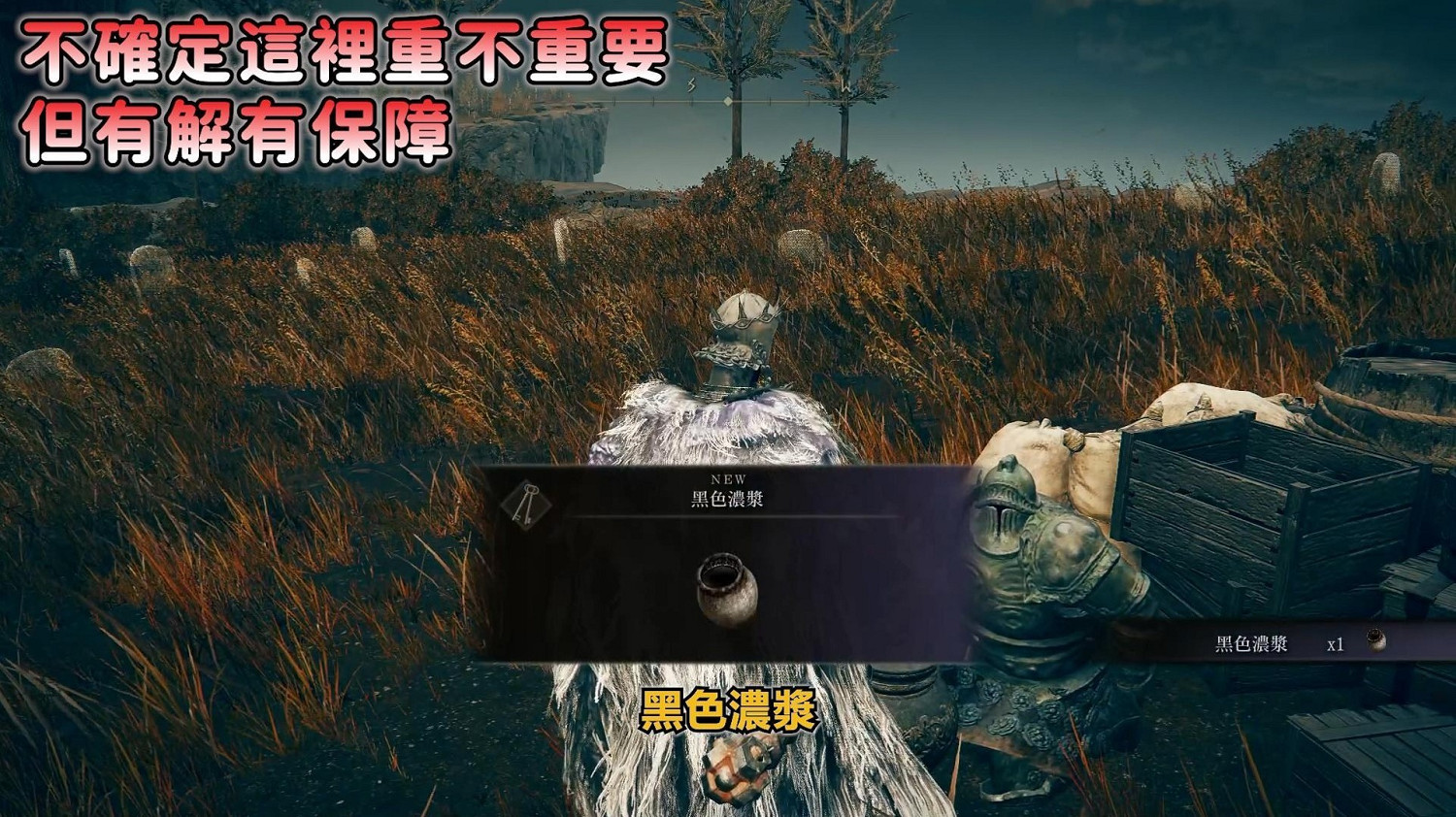 《艾爾登法環》dlc托莉娜與休裡耶支線流程詳解