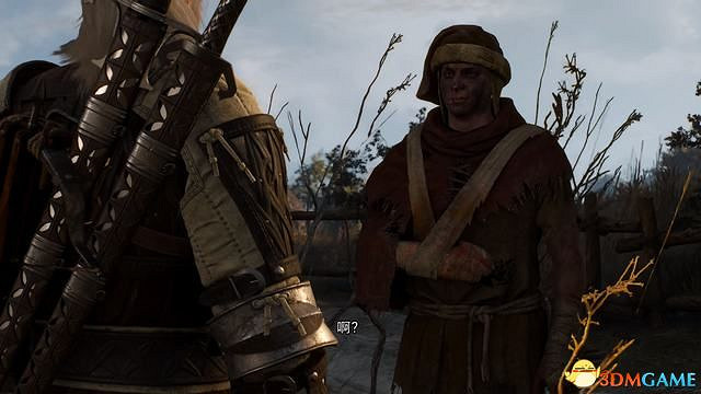 《巫師3:狂獵》全支線任務攻略 全隱藏支線任務全dlc支線攻略 《巫師3:狂獵》全支線任務攻略 全隱藏支線任務全dlc支線攻略