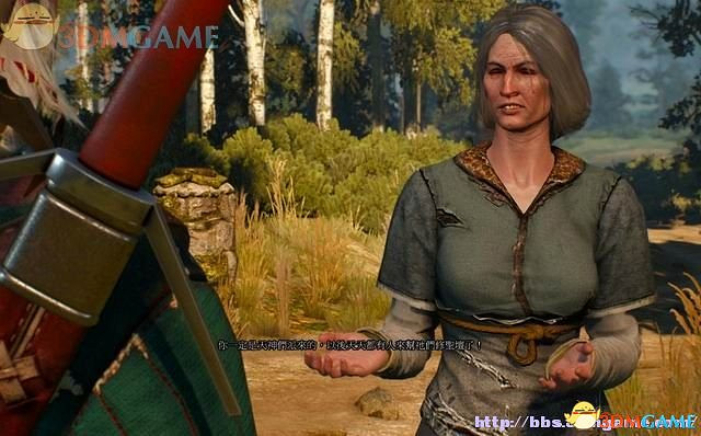 《巫師3:狂獵》全支線任務攻略 全隱藏支線任務全dlc支線攻略 《巫師3:狂獵》全支線任務攻略 全隱藏支線任務全dlc支線攻略