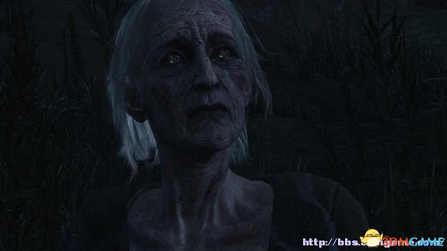 《巫師3：狂獵》次世代攻略百科 全任務全結局全收集全DLC攻略