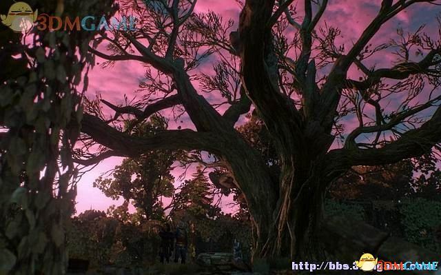 《巫師3：狂獵》次世代攻略百科 全任務全結局全收集全DLC攻略