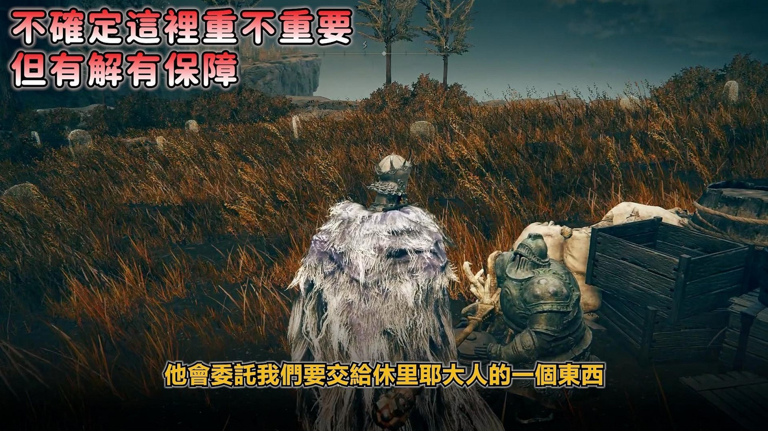 《艾爾登法環》dlc托莉娜與休裡耶支線流程詳解