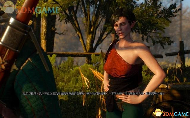 《巫師3：狂獵》次世代攻略百科 全任務全結局全收集全DLC攻略